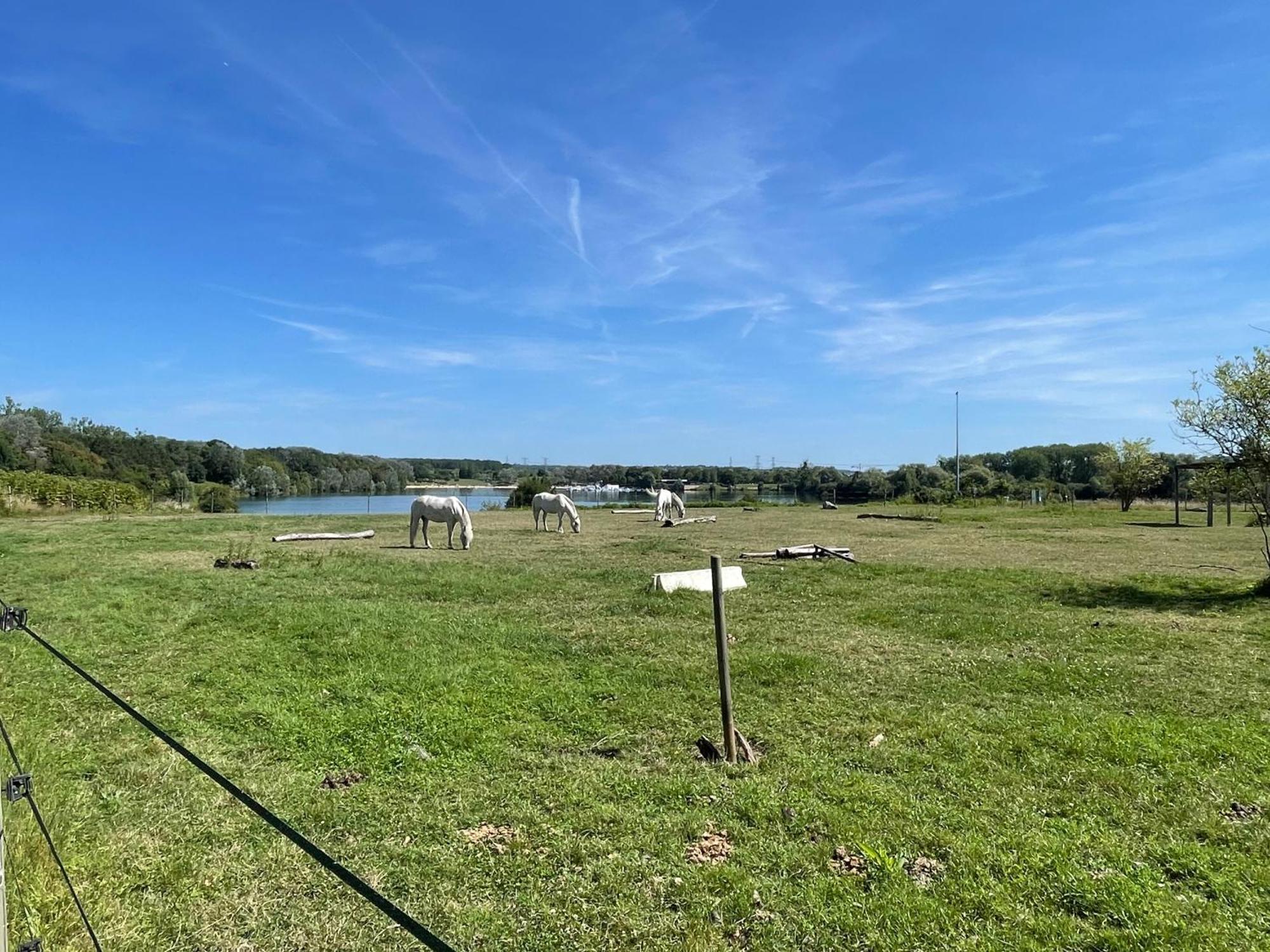 Chambre Climatisee, Entre Paris Disneyland, Au Coeur Des Jeux Olympiques Canoe-Kayak, Vaires-sur-Marne Extérieur photo